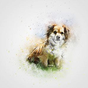 small long-coated white and tan dog sketch thumbnail