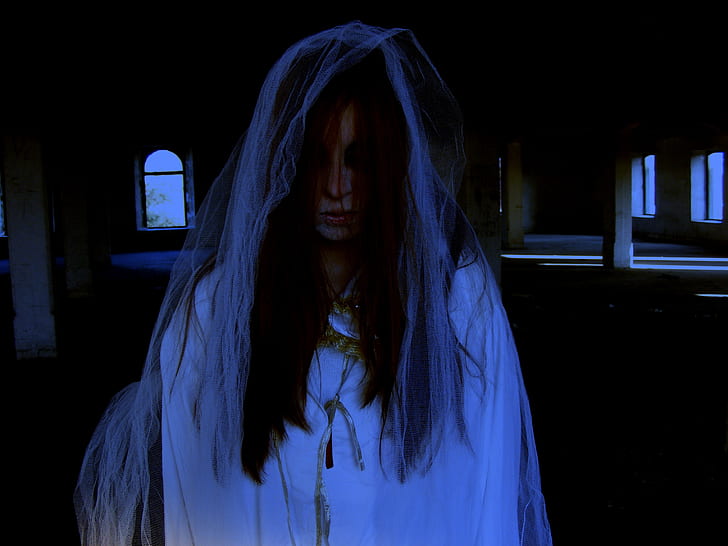 woman wearing white dress and veil