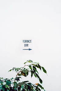 Terrace Bar signage thumbnail