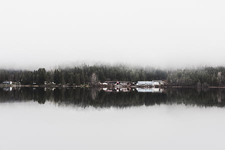 white house near body of water and trees thumbnail