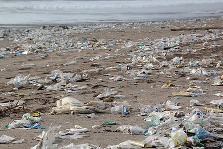pile of garbage on seashore during daytime thumbnail