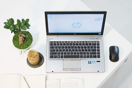 laptop, drink, plant, technology thumbnail