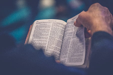 person reading book thumbnail