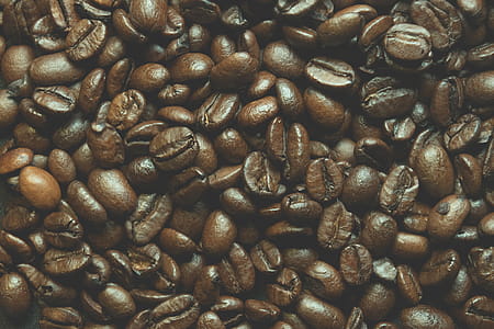 Close-up Photo of Brown Coffee Beans thumbnail