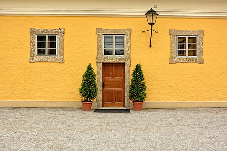 brown wooden 5-panel door between two green leafed plants thumbnail
