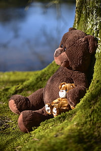 two brown teddy bears thumbnail