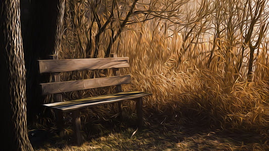 brown wooden bench near bare trees thumbnail
