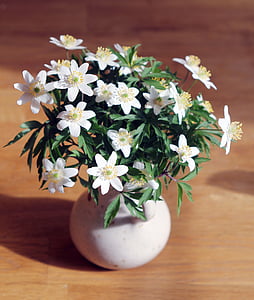 white flowers in vase thumbnail