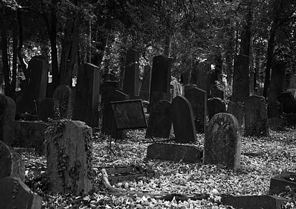 gravestones during daytime greyscale photography thumbnail