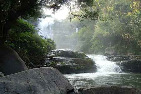 river stream between trees during daytime thumbnail