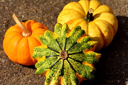 three yellow and green pumpkins on ground thumbnail
