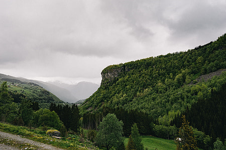green trees on the hill and mountain during cloudy sky thumbnail