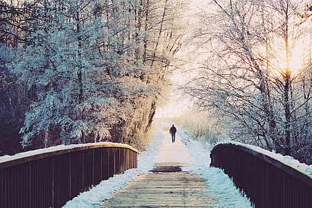 person walking in the pathway thumbnail