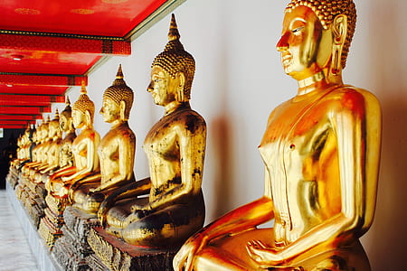 Gautama Buddha statues thumbnail