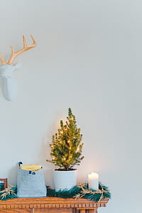 white flameless candle on table beside plant pot thumbnail