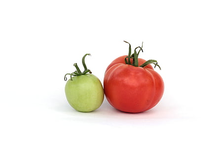 red and green tomatoes on white surface thumbnail