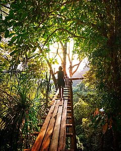 person walking on wooden bridge thumbnail