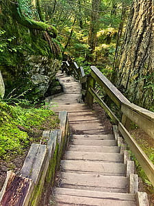 brown wooden staircase taken daytime thumbnail