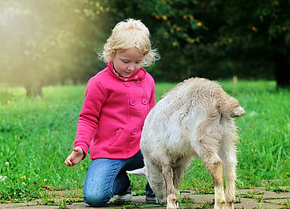 girl kneeling in front of white animal thumbnail