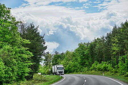 white truck on gray concrete road thumbnail