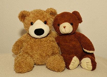two brown bear plush toys thumbnail