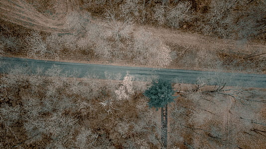 gray concrete road areal photography thumbnail