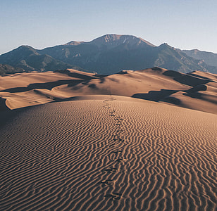 footprints on the desert thumbnail