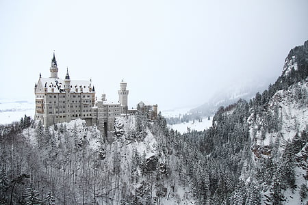 gray and white castle on mountain thumbnail