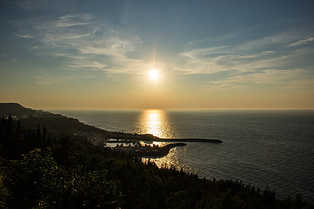 silhouette photography of forest with ocean under blue sky thumbnail