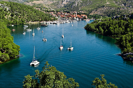 yacht on body of water surrounded by trees thumbnail