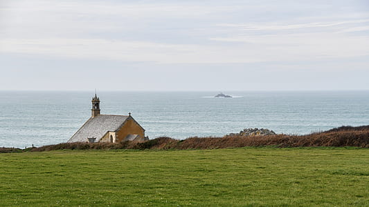 green grass field thumbnail