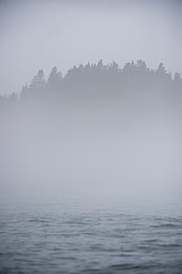 misty mountain and body of water d thumbnail