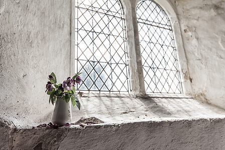 purple flowers on white vase beside the window thumbnail