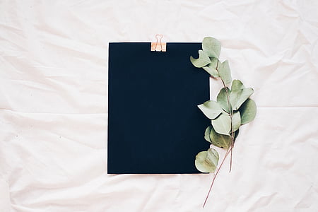 black clipboard and green leaf on white textile thumbnail