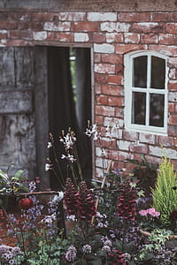 garden near brick house thumbnail