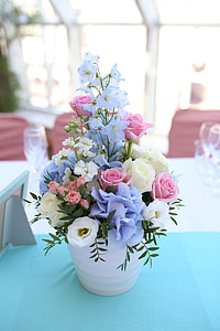 selective focus photography of blue and white petaled flowers thumbnail