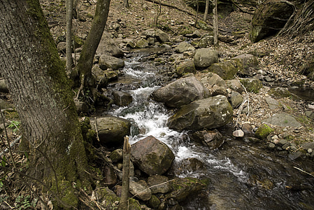 Running Stream landscape at Parfrey's Glen, Wisconsin thumbnail