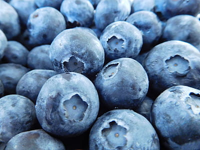 bunch of blueberrys thumbnail