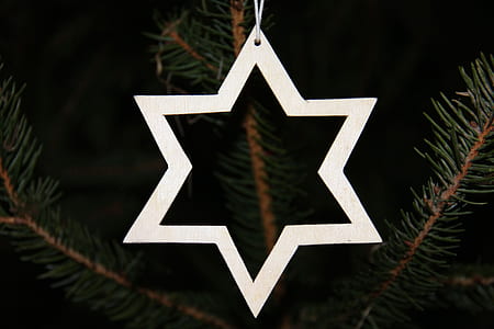 close-up photo of star bauble hanging on green pine tree thumbnail