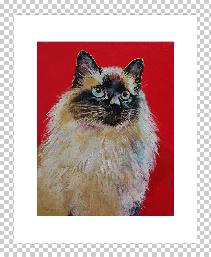 Birman Balinese Cat Whiskers Kitten Siamese Cat Kitten Png