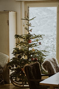photo of green Christmas tree thumbnail