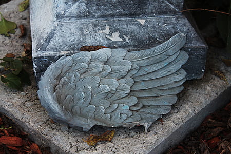 gray concrete wing decor beside black concrete pillar thumbnail