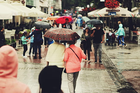 People Walking on the Alley Holding Umbrellas thumbnail