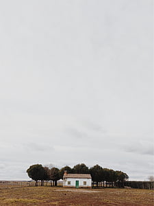house in front of trees at the field thumbnail