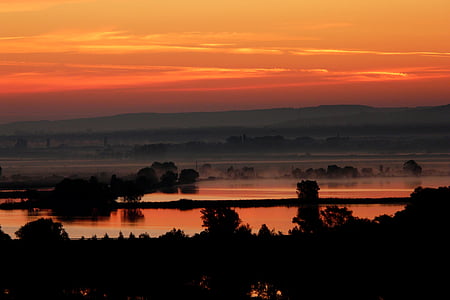 silhouette of trees near body of water at golden hour thumbnail
