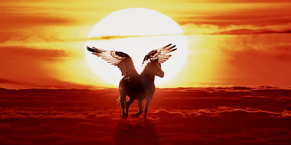 Pegasus flying during sunset thumbnail