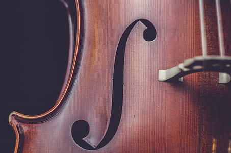 cello, music, wooden, instrument thumbnail