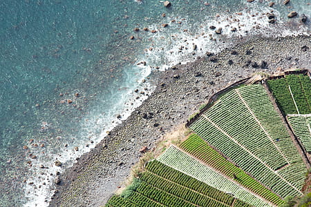 aerial photo green grass near water during daytime thumbnail