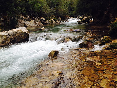 body of water with trees thumbnail