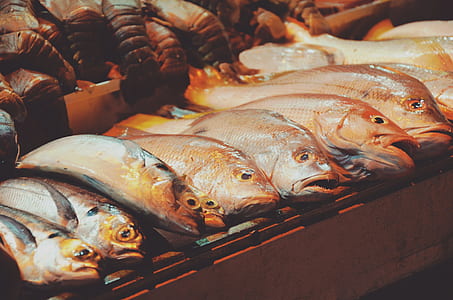 raw fish on rack thumbnail